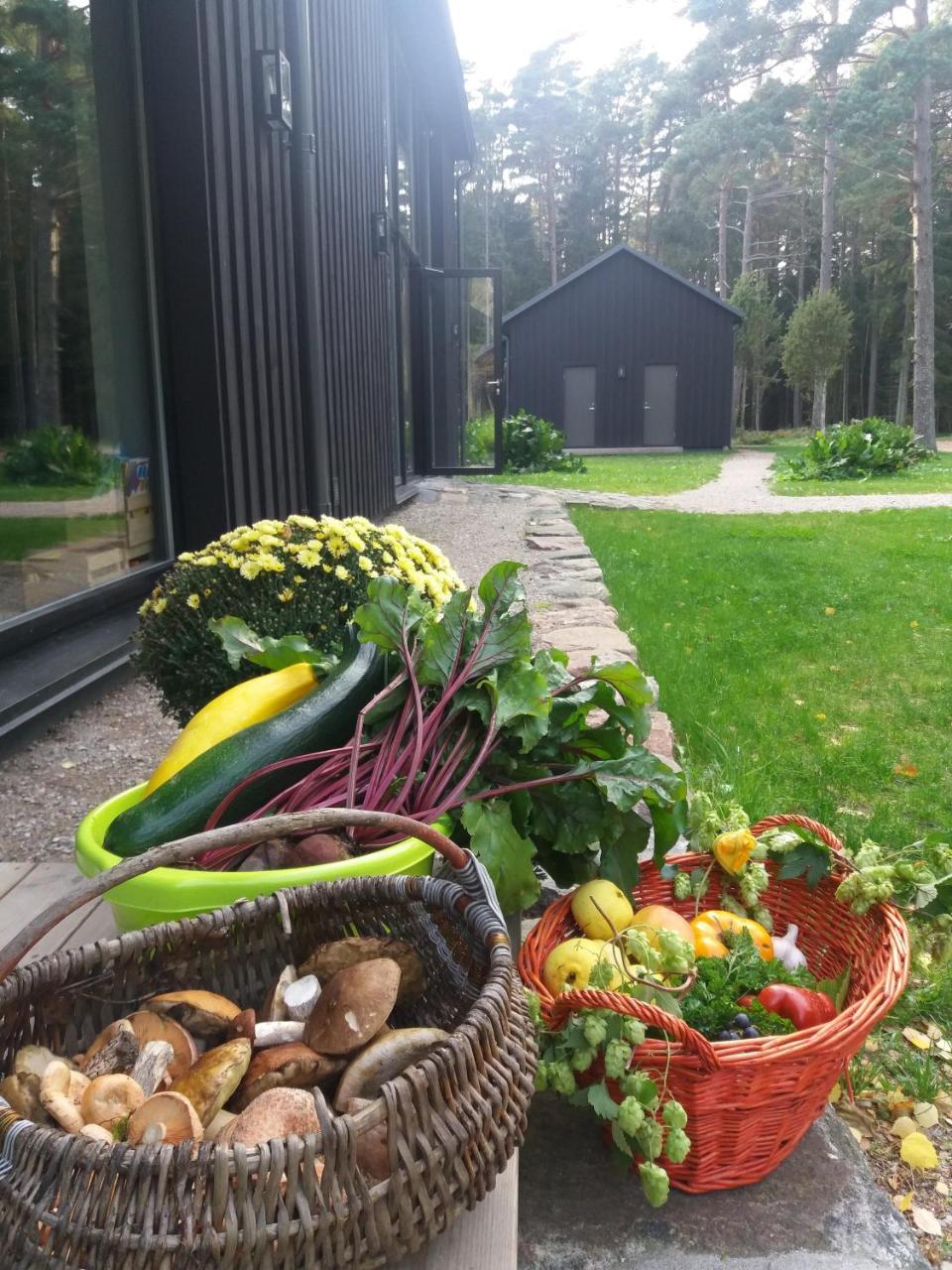 Hobekala Guesthouse Kalana Exteriör bild